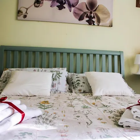 Msg Bed & Breakfast 3*