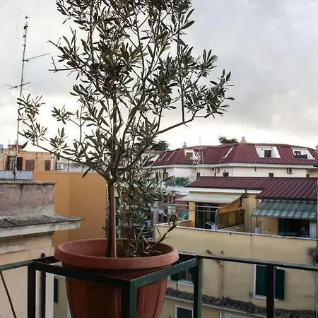 Msg Bed & Breakfast Rome